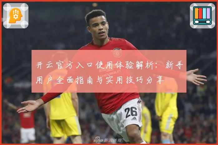 开云官方入口使用体验解析：新手用户全面指南与实用技巧分享