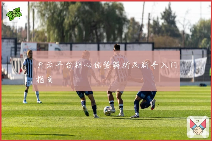 开云平台核心优势解析及新手入门指南